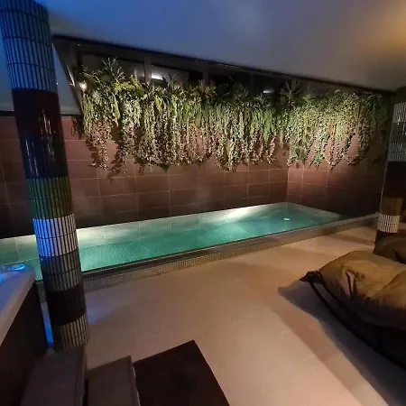 Evening Spa Package 9Pm To Noon Maison d'hôtes 4*